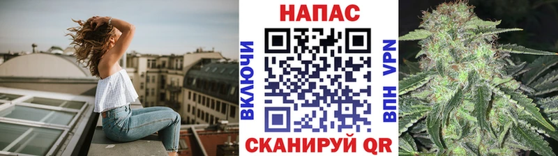 darknet как зайти Большой Камень Марихуана индика